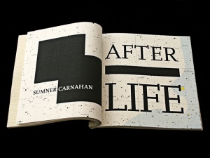 AFTER LIFE - title page